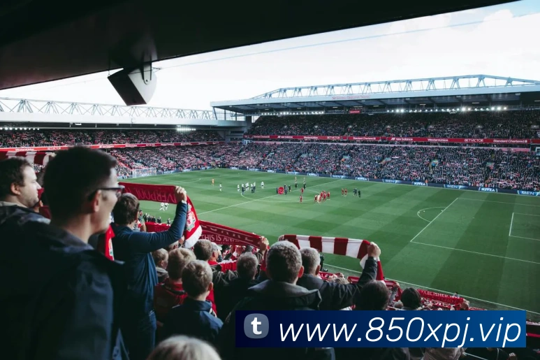 澳门新葡京官网发展历程